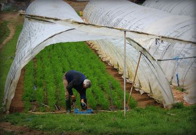 Ferme de Moyembrie